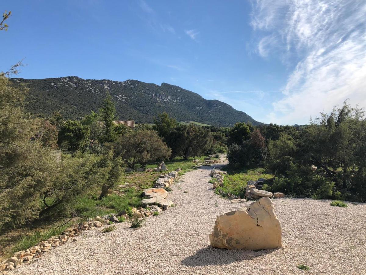 Le Domaine Du Cade-Gites D'Exception 4Etoiles "La Villa Du Cade" Cazevieille Dış mekan fotoğraf