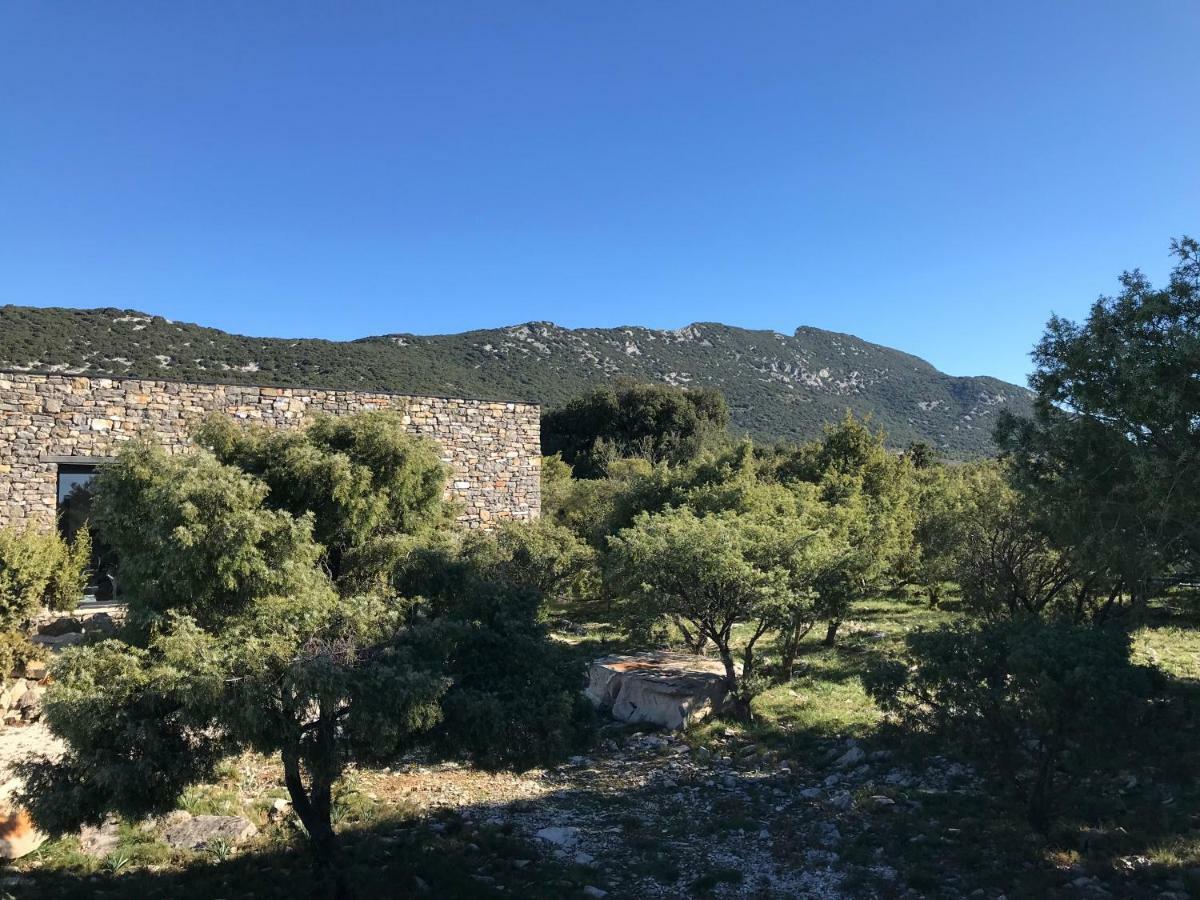 Le Domaine Du Cade-Gites D'Exception 4Etoiles "La Villa Du Cade" Cazevieille Dış mekan fotoğraf